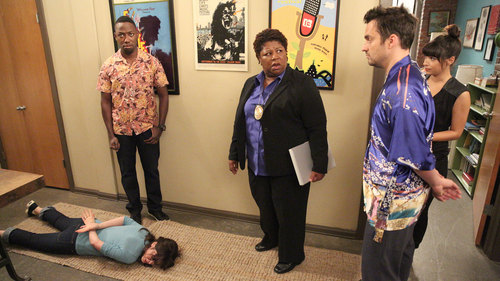 New Girl 4×6