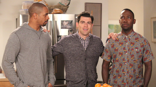 New Girl 4×7