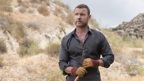 Ray Donovan 3×8