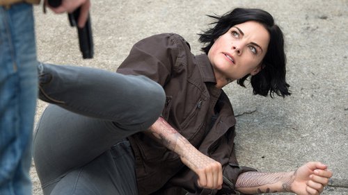 Blindspot 1×3