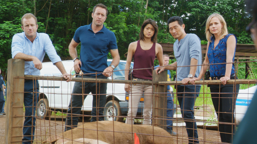 Hawaii Five-0 6×9