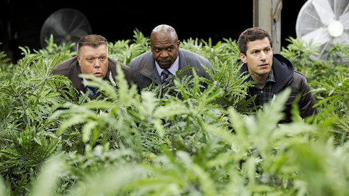 Brooklyn Nine-Nine 3×16