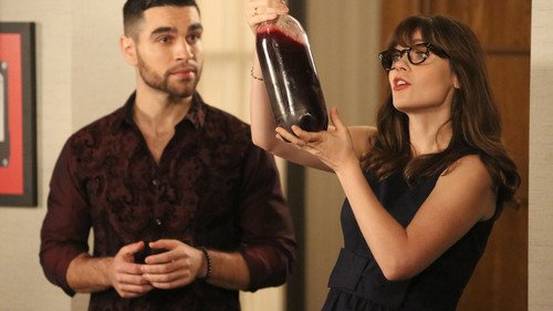 New Girl 6×9