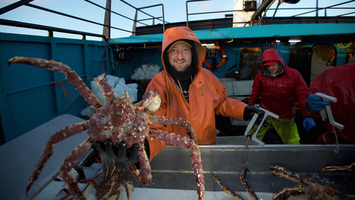 Deadliest Catch 13×1