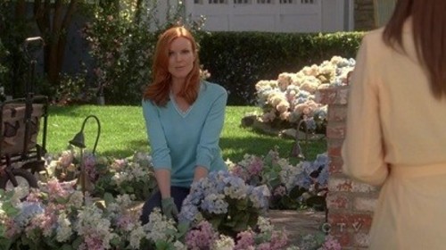 Desperate Housewives 7×21