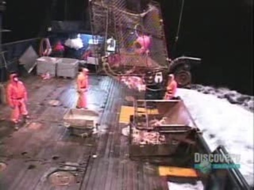 Deadliest Catch 1×2