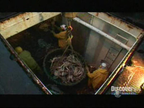 Deadliest Catch 3×6