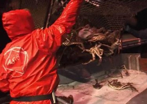 Deadliest Catch 4×3