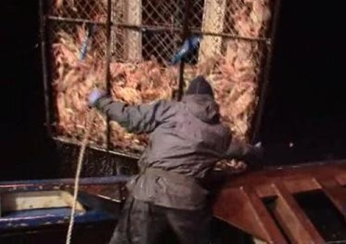 Deadliest Catch 4×10