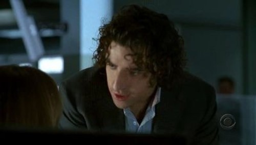 Numb3rs 2×8