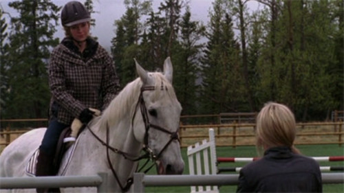 Heartland 2×2