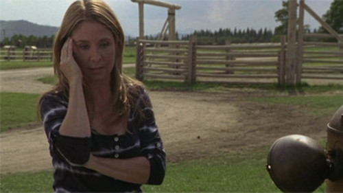 Heartland 3×8