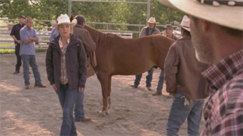 Heartland 4×8