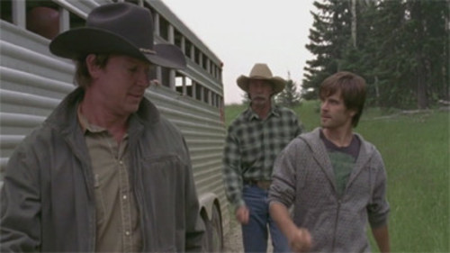 Heartland 4×9