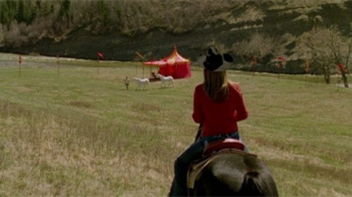 Heartland 5×1