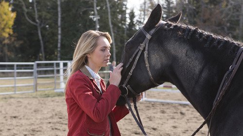 Heartland 6×13