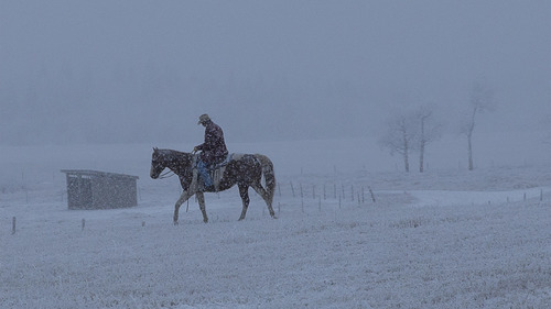 Heartland 6×18