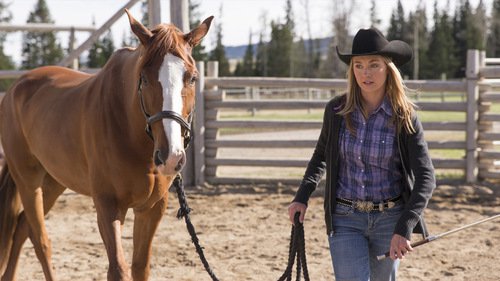 Heartland 7×1