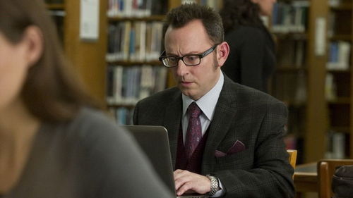 Person of Interest 1×13