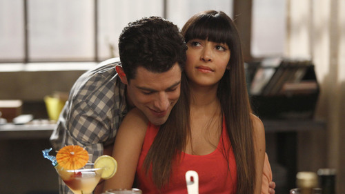 New Girl 1×21