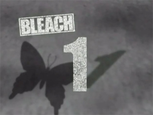 Bleach 1×1