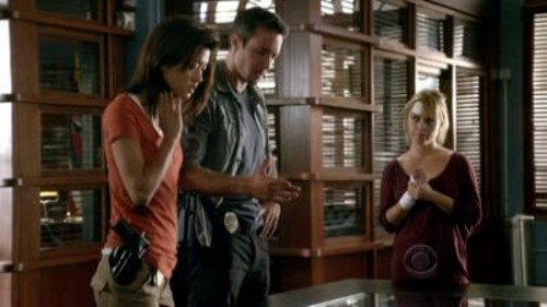 Hawaii Five-0 1×13