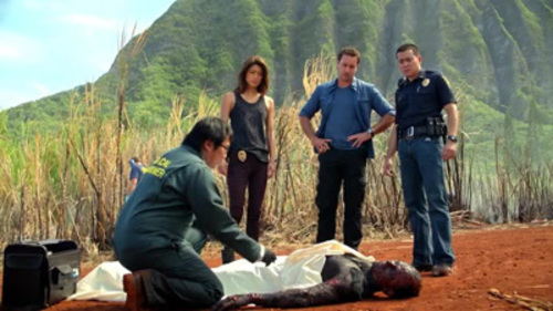 Hawaii Five-0 3×8