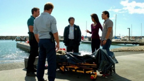 Hawaii Five-0 2×8