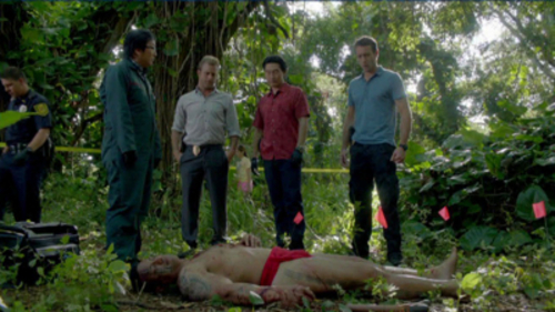 Hawaii Five-0 2×17