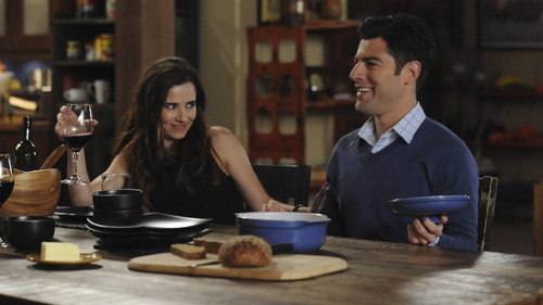 New Girl 3×17