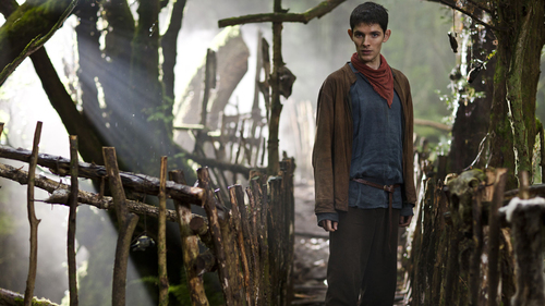 Merlin 3×8