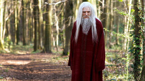 Merlin 4×3