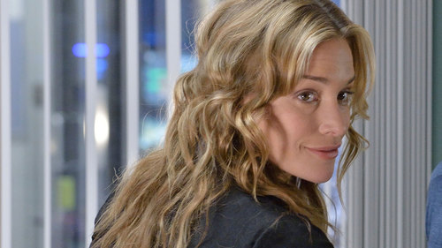 Covert Affairs 5×6